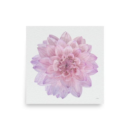 Pink Dahlia Watercolor Art Print: Botanical Home Decor