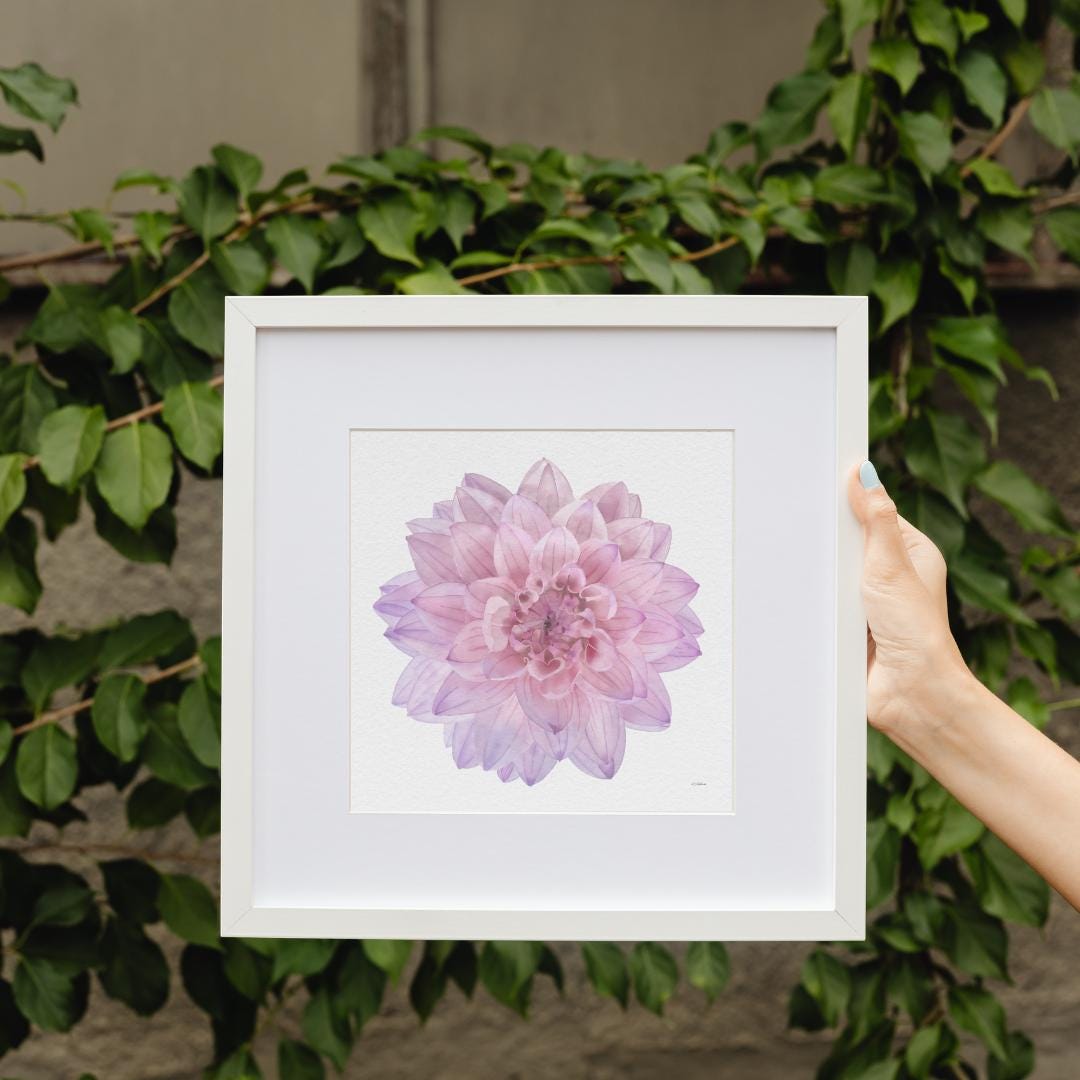 Pink Dahlia Watercolor Art Print: Botanical Home Decor