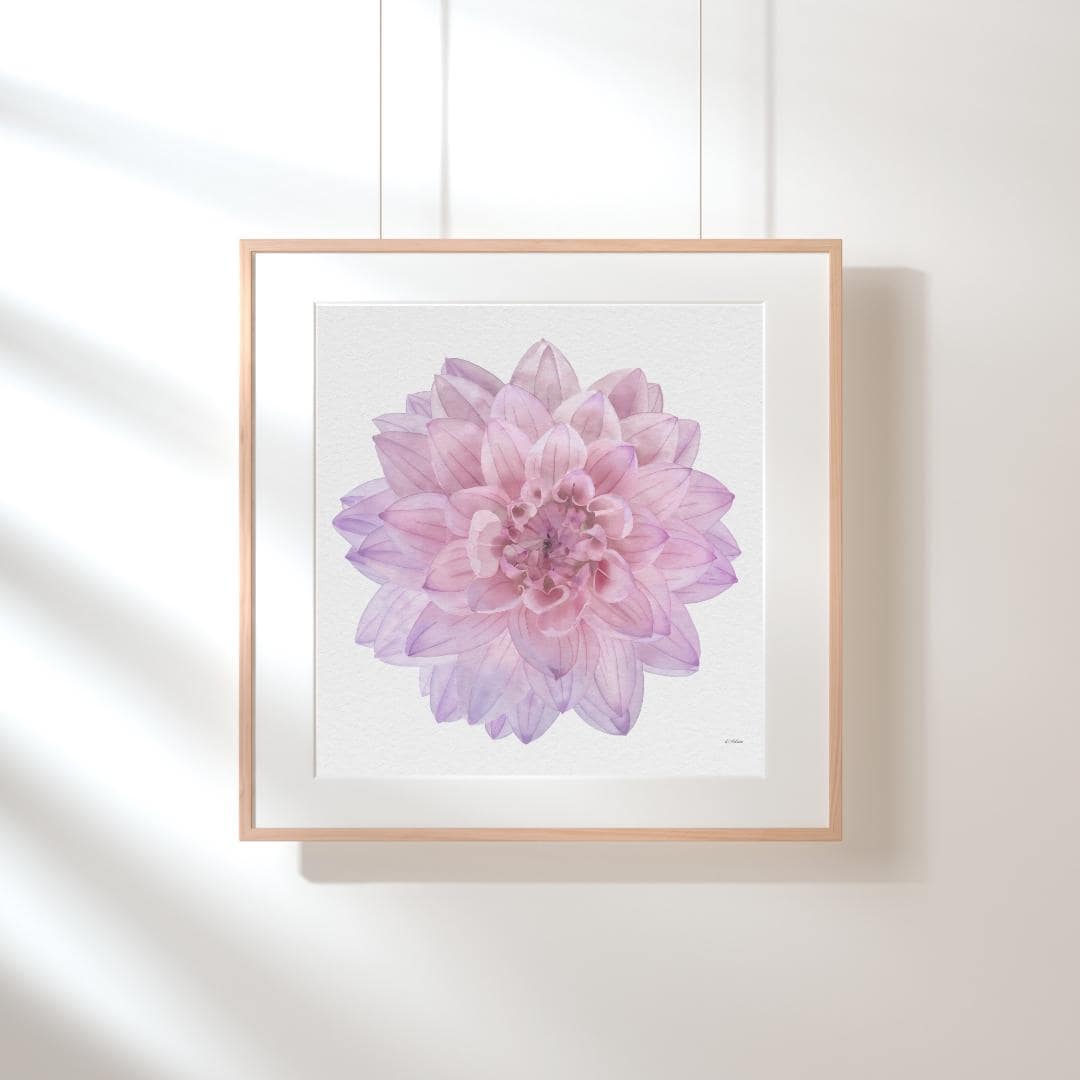 Pink Dahlia Watercolor Art Print: Botanical Home Decor
