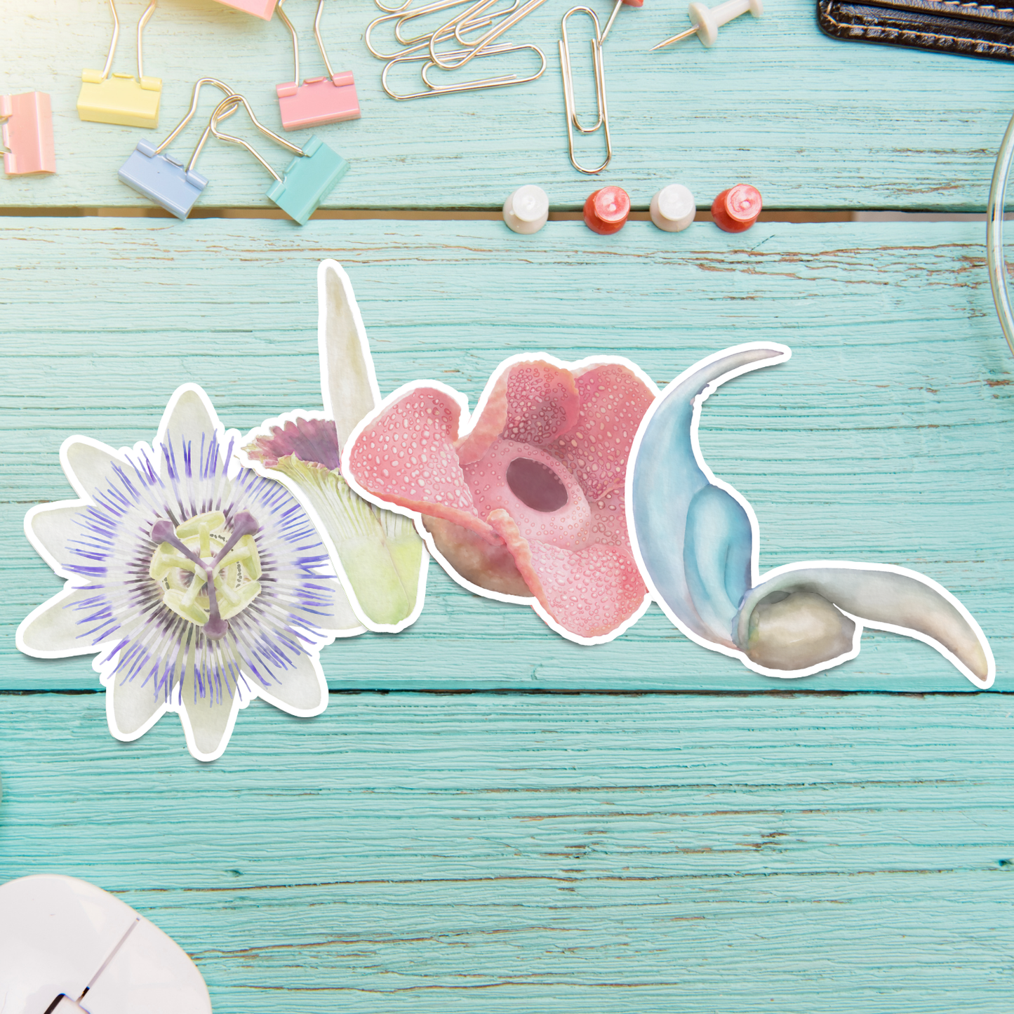 Hand-painted Watercolor Exotic Flower Stickers