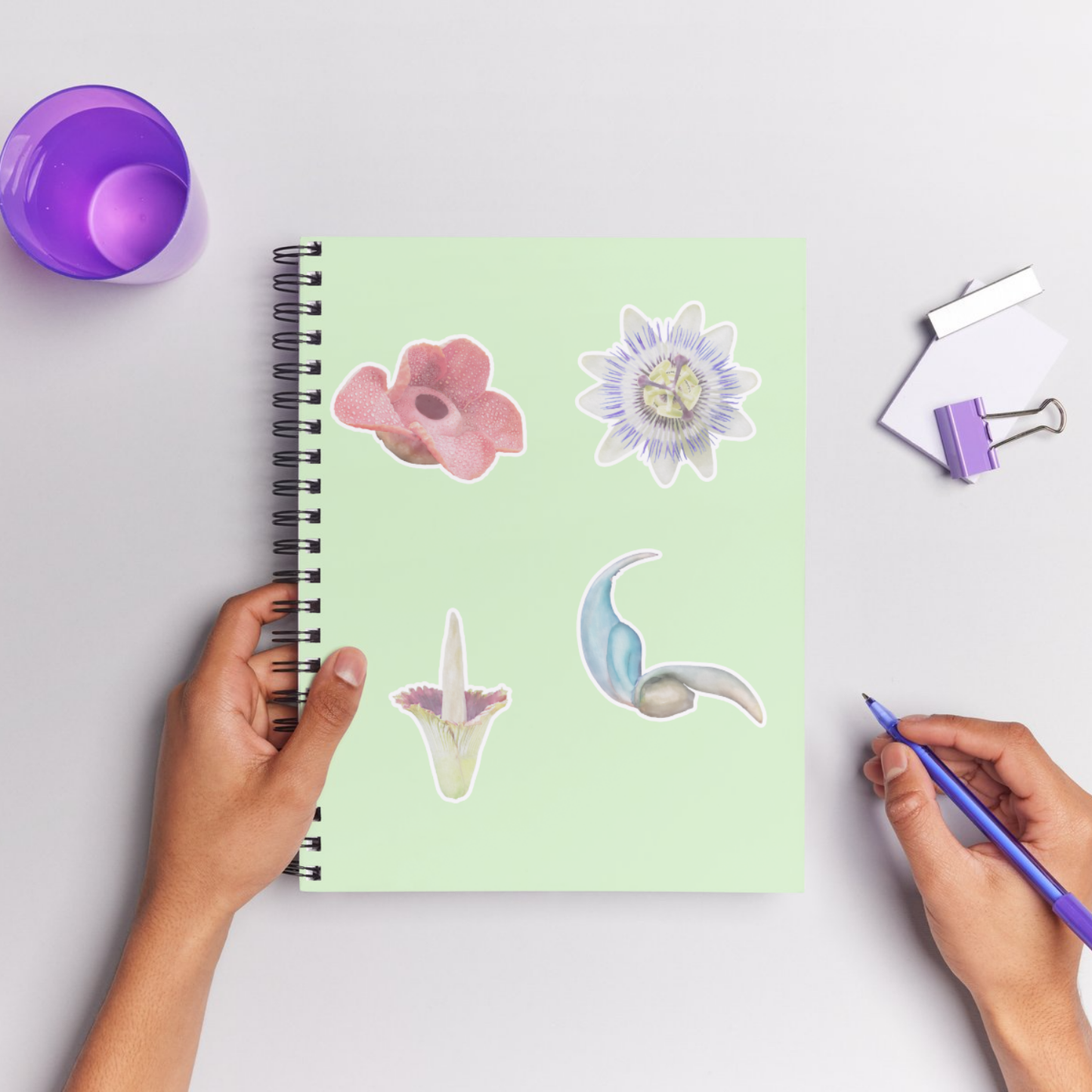 Hand-painted Watercolor Exotic Flower Stickers
