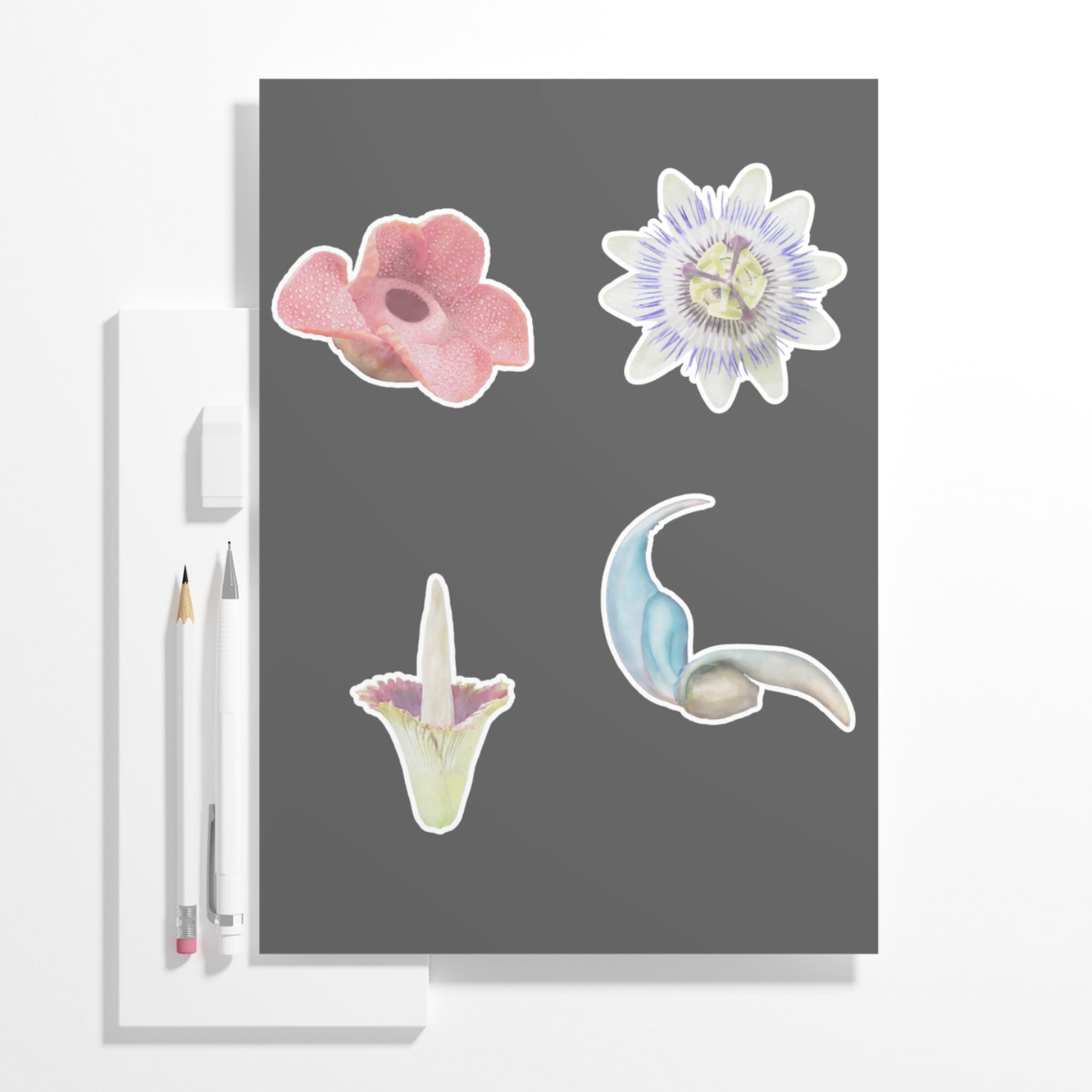 Hand-painted Watercolor Exotic Flower Stickers