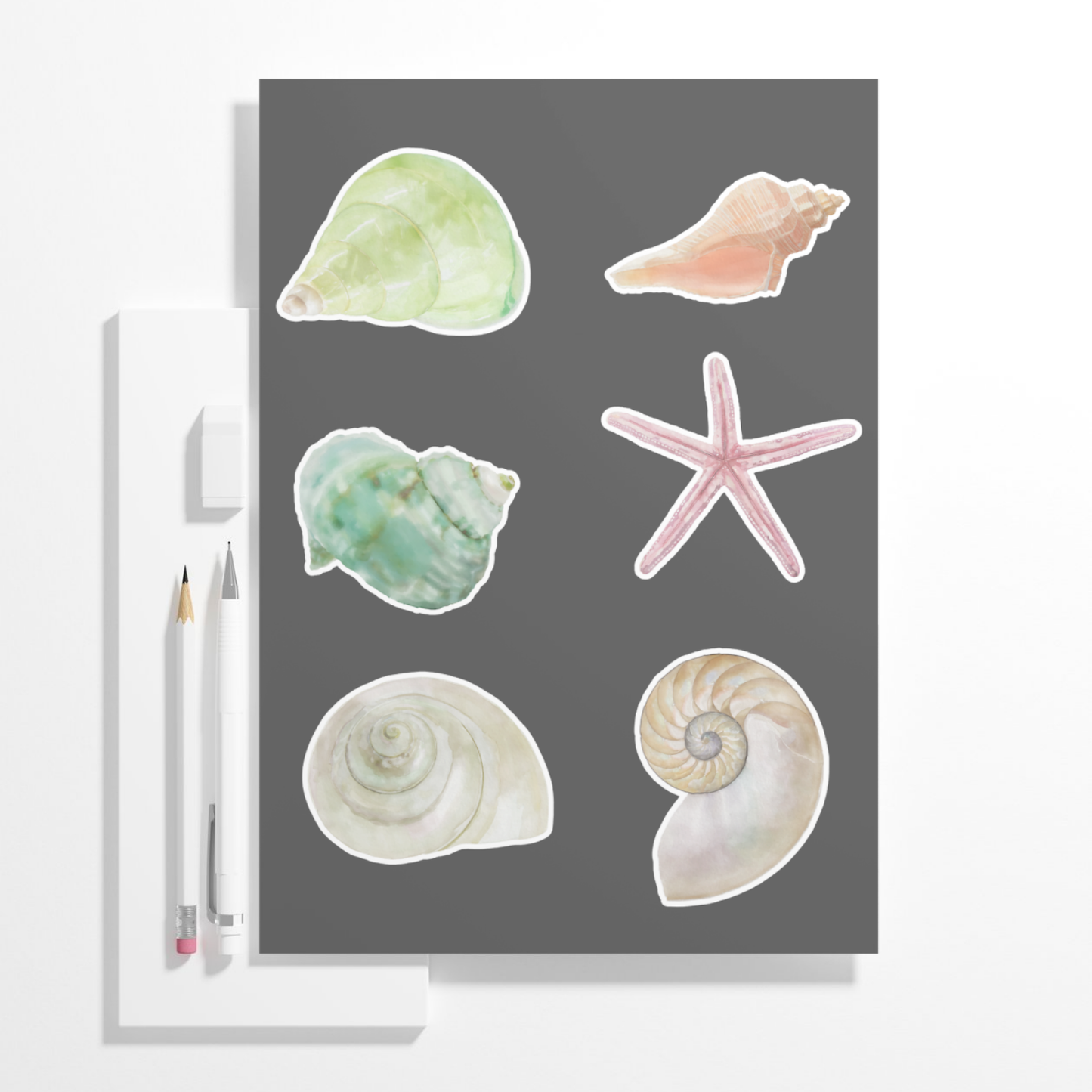 Hand-Painted Watercolor Sea Shell Stickers - Set 2