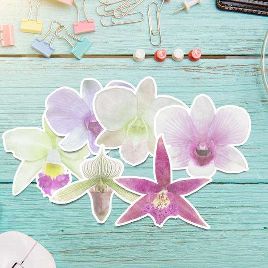 Hand-painted Watercolor Orchid Stickers