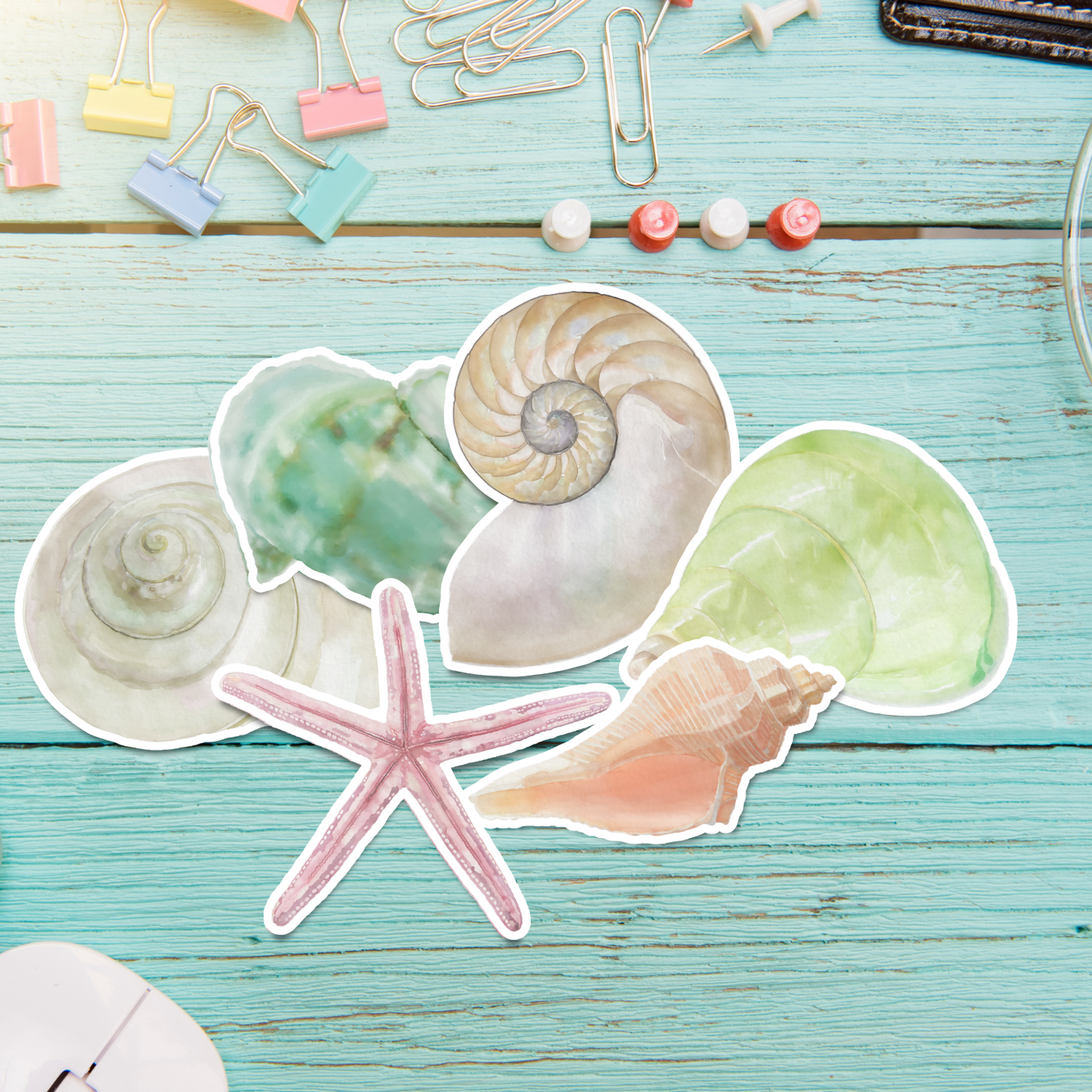 Hand-Painted Watercolor Sea Shell Stickers - Set 2