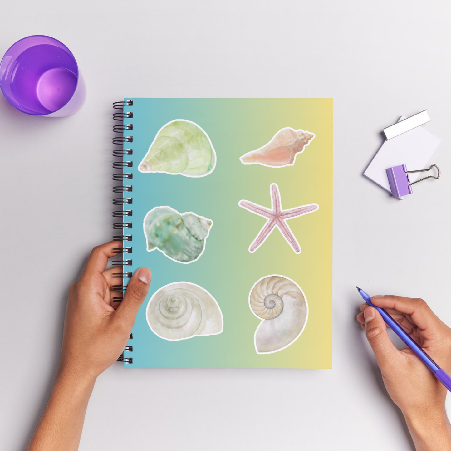 Hand-Painted Watercolor Sea Shell Stickers - Set 2