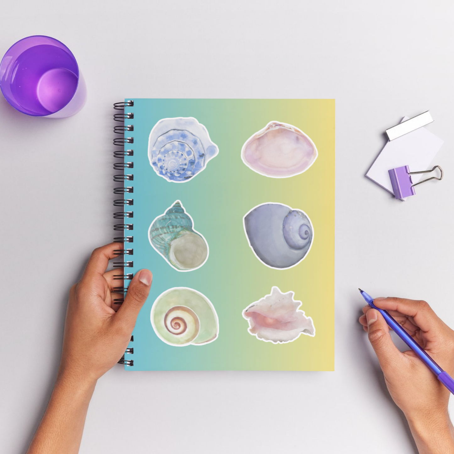 Hand-Painted Watercolor Sea Shell Stickers - Set 1
