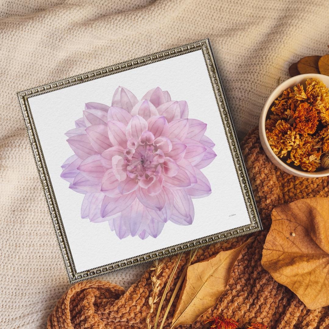 Pink Dahlia Watercolor Art Print: Botanical Home Decor